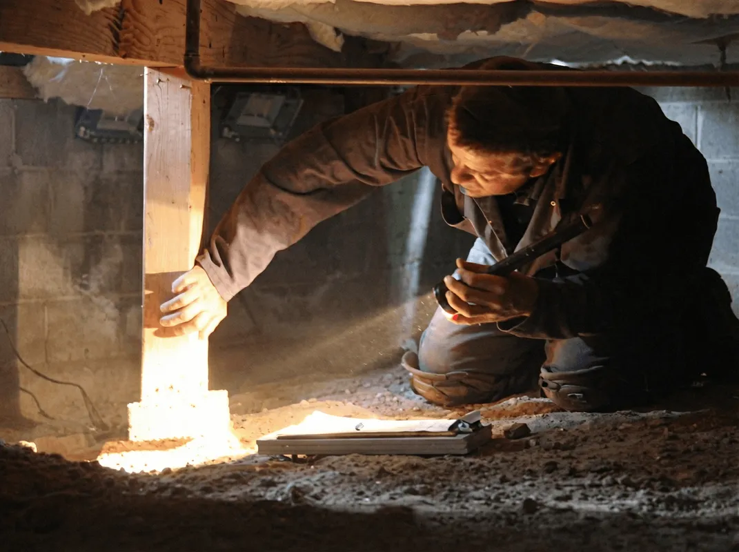 A professional inspecting wooden beams under the floor of a structure in Pittsburgh, PA